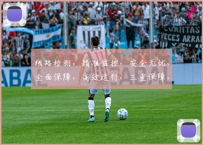 线路检测，精准监控，安全无忧，全面保障，高效运行，三重保障，助力企业。