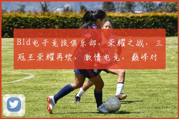 Bld电子竞技俱乐部，荣耀之战，三冠王荣耀再续，激情电竞，巅峰对决